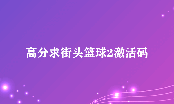 高分求街头篮球2激活码