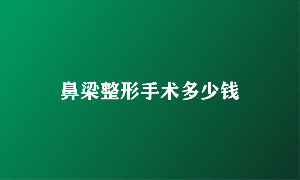 鼻梁整形手术多少钱