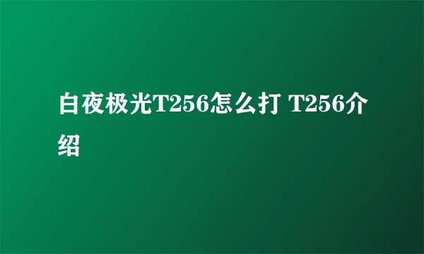 白夜极光T256怎么打 T256介绍