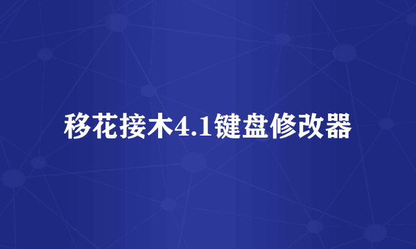 移花接木4.1键盘修改器