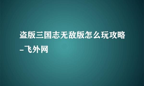 盗版三国志无敌版怎么玩攻略-飞外网