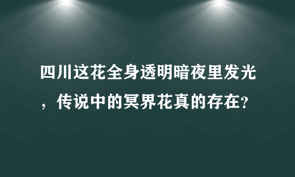 四川这花全身透明暗夜里发光，传说中的冥界花真的存在？