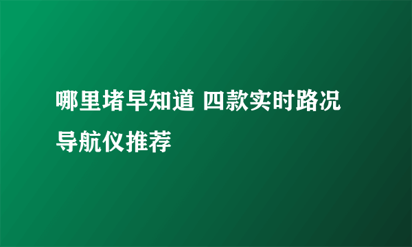 哪里堵早知道 四款实时路况导航仪推荐