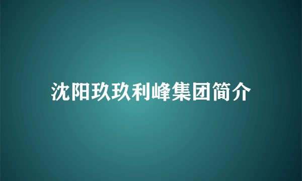 沈阳玖玖利峰集团简介