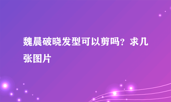 魏晨破晓发型可以剪吗？求几张图片