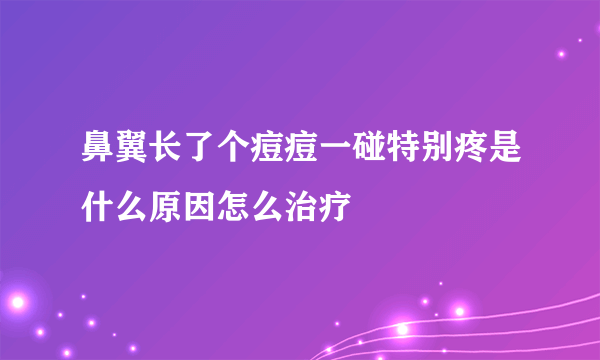 鼻翼长了个痘痘一碰特别疼是什么原因怎么治疗