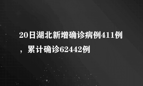 20日湖北新增确诊病例411例，累计确诊62442例