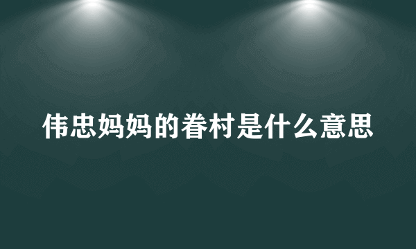 伟忠妈妈的眷村是什么意思