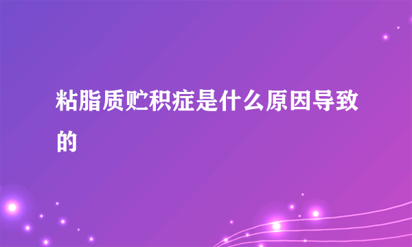 粘脂质贮积症是什么原因导致的