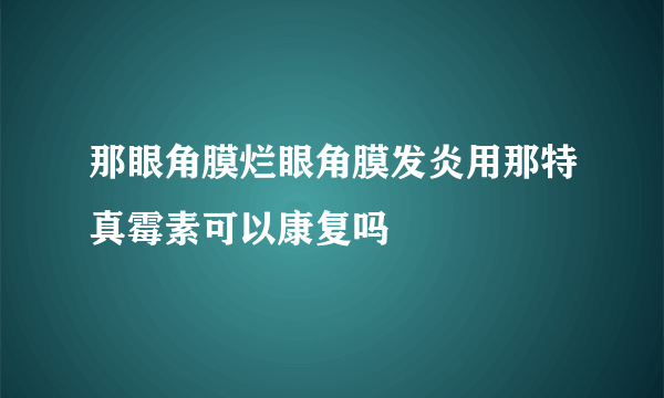 那眼角膜烂眼角膜发炎用那特真霉素可以康复吗