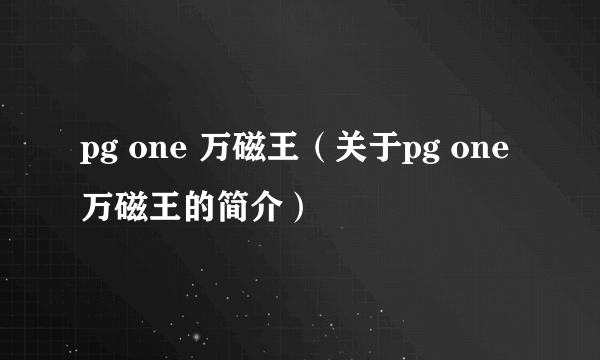 pg one 万磁王（关于pg one 万磁王的简介）