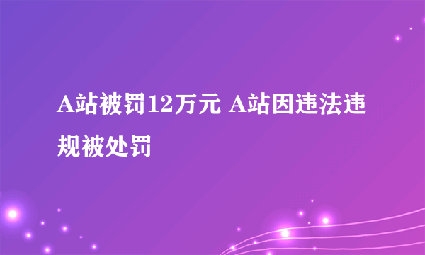 A站被罚12万元 A站因违法违规被处罚