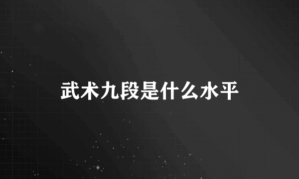 武术九段是什么水平