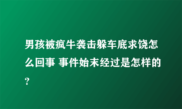 男孩被疯牛袭击躲车底求饶怎么回事 事件始末经过是怎样的？