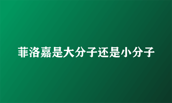 菲洛嘉是大分子还是小分子