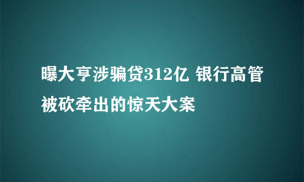 曝大亨涉骗贷312亿 银行高管被砍牵出的惊天大案