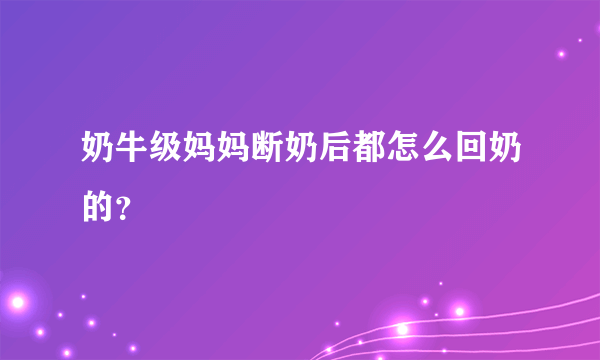 奶牛级妈妈断奶后都怎么回奶的？