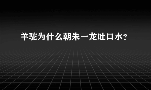 羊驼为什么朝朱一龙吐口水？