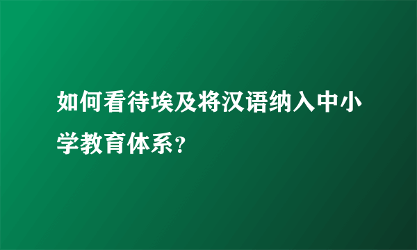 如何看待埃及将汉语纳入中小学教育体系？