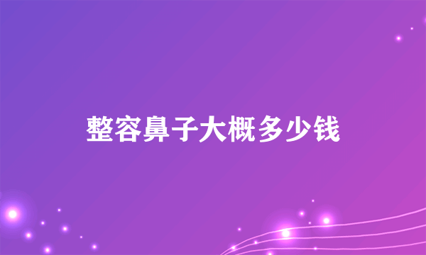 整容鼻子大概多少钱