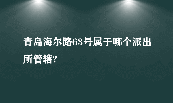 青岛海尔路63号属于哪个派出所管辖?