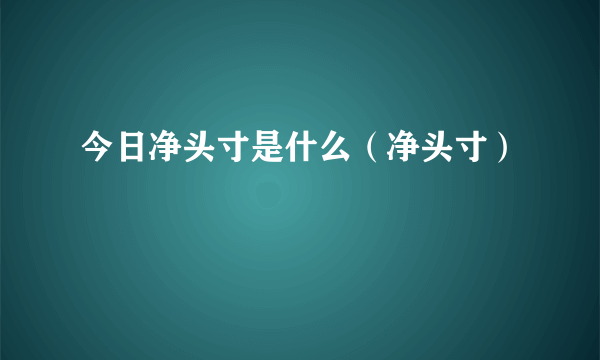 今日净头寸是什么（净头寸）