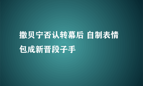 撒贝宁否认转幕后 自制表情包成新晋段子手