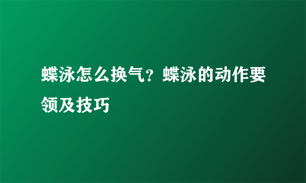 蝶泳怎么换气？蝶泳的动作要领及技巧