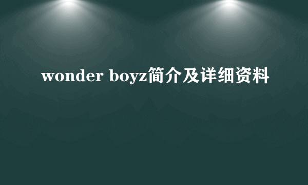 wonder boyz简介及详细资料