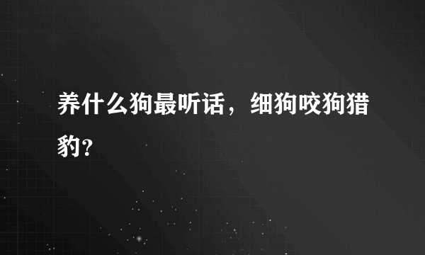 养什么狗最听话，细狗咬狗猎豹？