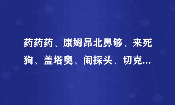 药药药、康姆昂北鼻够、来死狗、盖塔奥、闹探头、切克闹是什么意思？