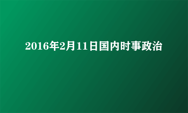 2016年2月11日国内时事政治