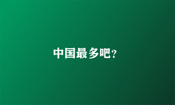 中国最多吧？