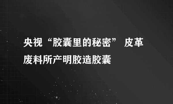 央视“胶囊里的秘密” 皮革废料所产明胶造胶囊