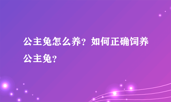 公主兔怎么养？如何正确饲养公主兔？