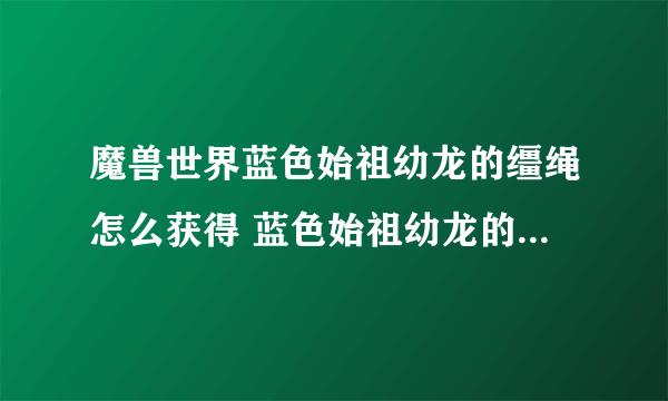 魔兽世界蓝色始祖幼龙的缰绳怎么获得 蓝色始祖幼龙的缰绳获取攻略