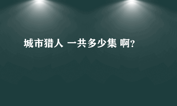 城市猎人 一共多少集 啊？