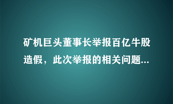 矿机巨头董事长举报百亿牛股造假，此次举报的相关问题是否属实？