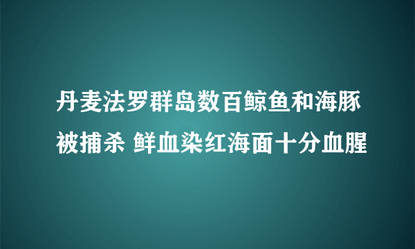 丹麦法罗群岛数百鲸鱼和海豚被捕杀 鲜血染红海面十分血腥