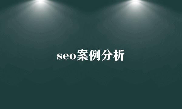 seo案例分析