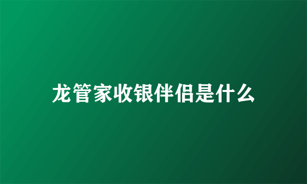 龙管家收银伴侣是什么