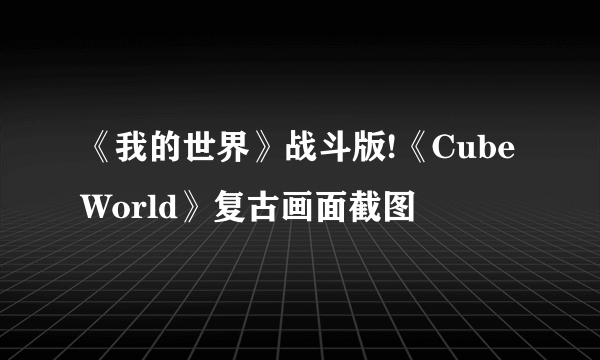 《我的世界》战斗版!《Cube World》复古画面截图