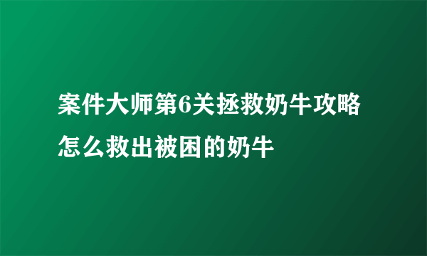 案件大师第6关拯救奶牛攻略 怎么救出被困的奶牛