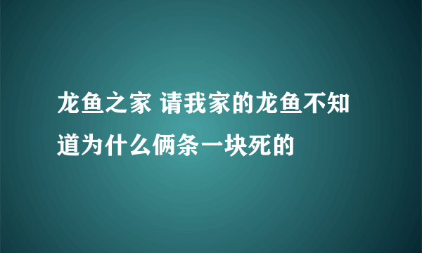 龙鱼之家 请我家的龙鱼不知道为什么俩条一块死的