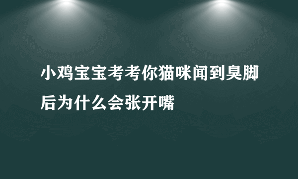 小鸡宝宝考考你猫咪闻到臭脚后为什么会张开嘴