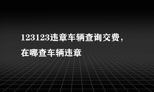 123123违章车辆查询交费，在哪查车辆违章