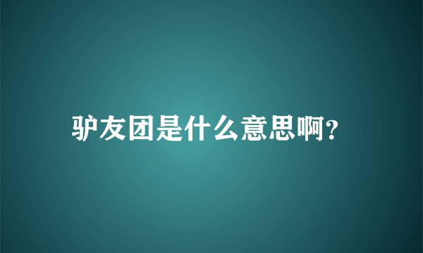 驴友团是什么意思啊？