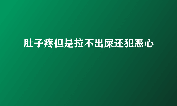 肚子疼但是拉不出屎还犯恶心