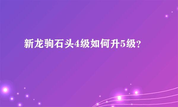 新龙驹石头4级如何升5级？