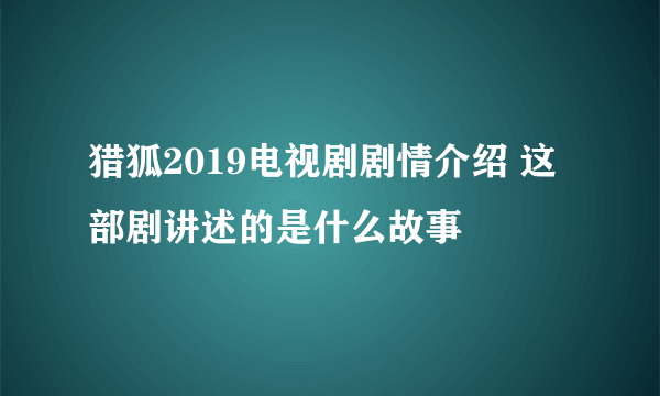 猎狐2019电视剧剧情介绍 这部剧讲述的是什么故事